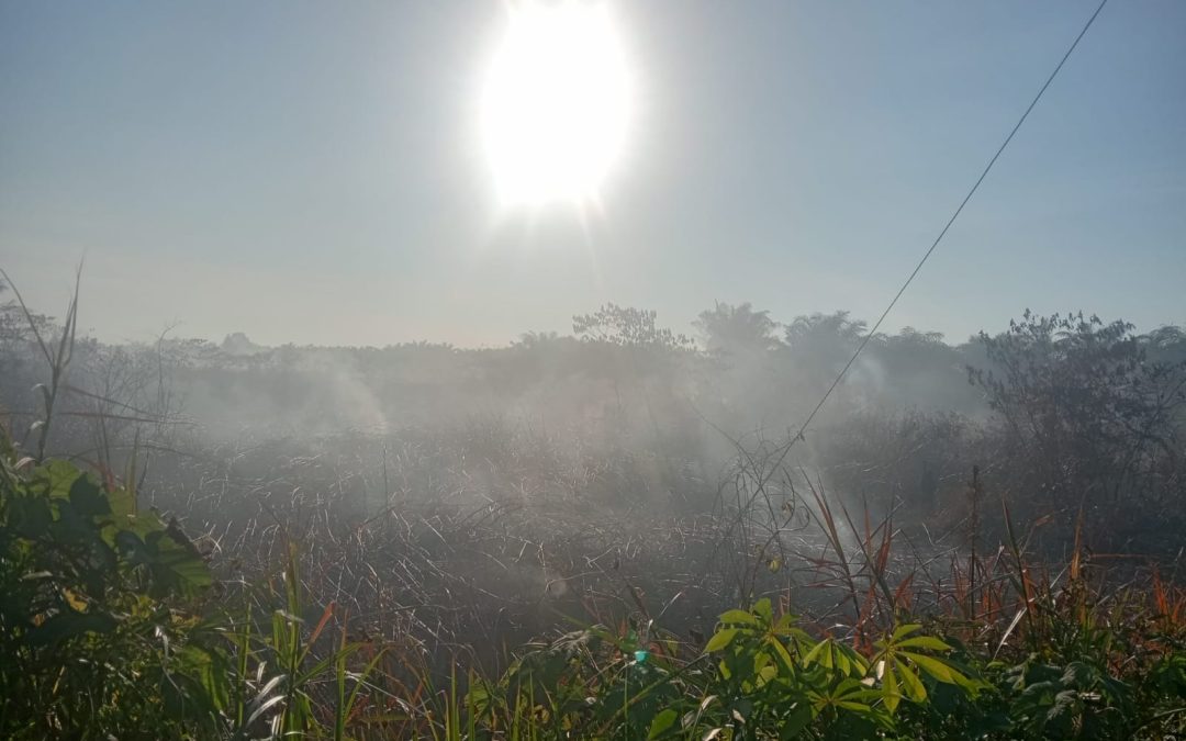 Kebakaran Lahan Hutan Di Aceh Barat, Mencapai Puluhan Hektar!